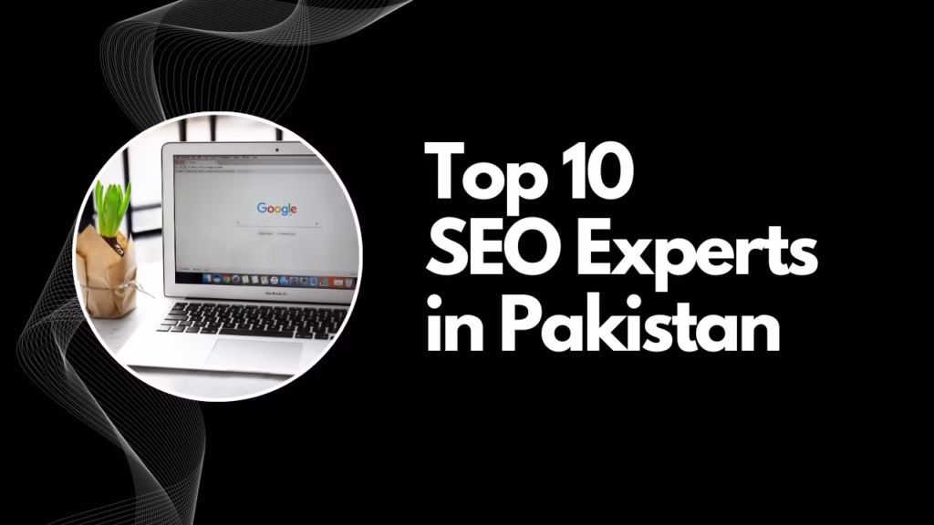 seo expert