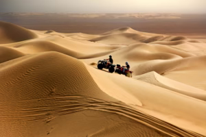 Desert Safari Experience: What Every Traveler Should Know