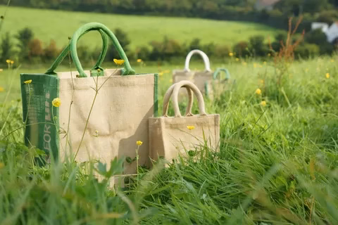 Eco-Friendly Custom Mylar Bags: A Sustainable Choice for Consumers